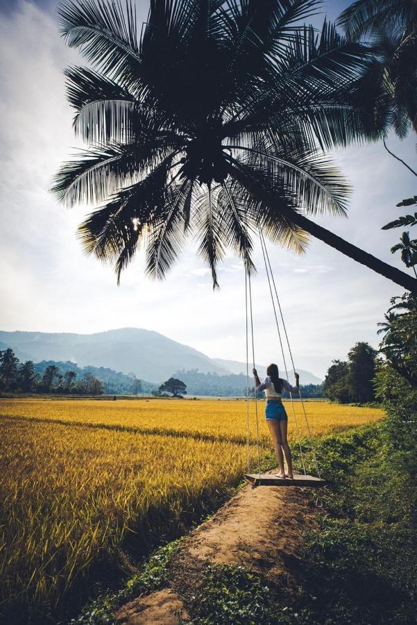 Вилла Coconut Escapes Курунегала Экстерьер фото